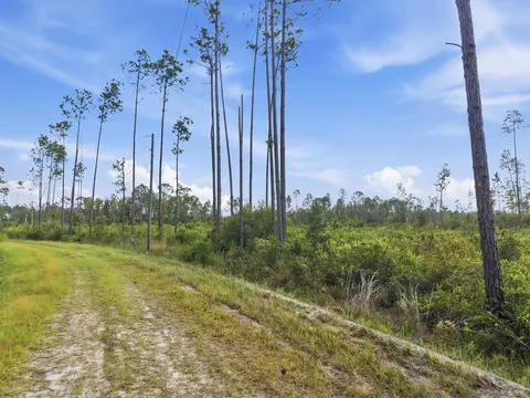 Tract 77 Circle Block Loop, Perry, FL 32348 photo 16