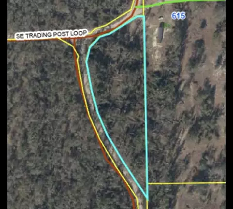 Se Springhead Creek Loop, Lee, FL 32059 photo 1