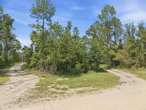 Vacant Gulf Manor N, Perry, FL 32348 photo 13