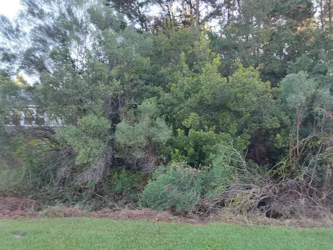 166 Frances Harrell Way, Midway, FL 32343 photo 7