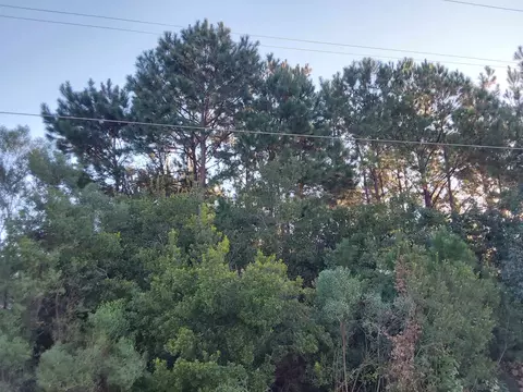 166 Frances Harrell Way, Midway, FL 32343 photo 6