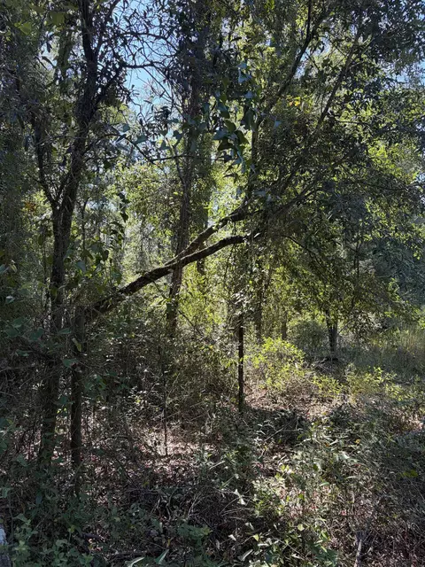 NE Chervil Drive, Lee, FL 32059 photo 6