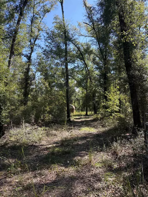 NE Chervil Drive, Lee, FL 32059 photo 3