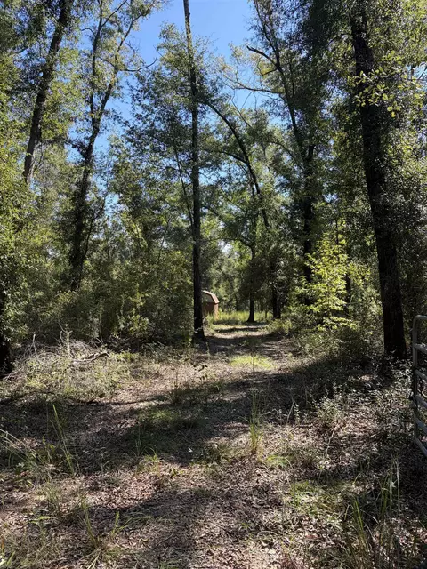 NE Chervil Drive, Lee, FL 32059 photo 10