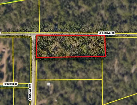 NE Chervil Drive, Lee, FL 32059 photo 2