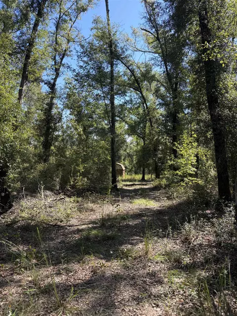 NE Chervil Drive, Lee, FL 32059 photo 7