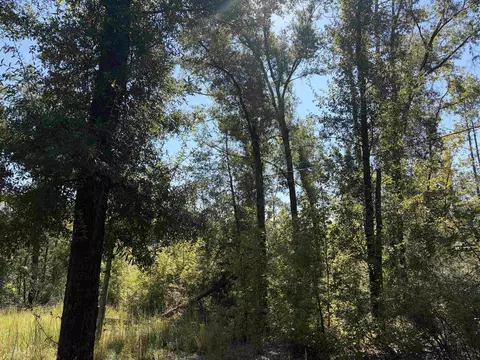NE Chervil Drive, Lee, FL 32059 photo 4