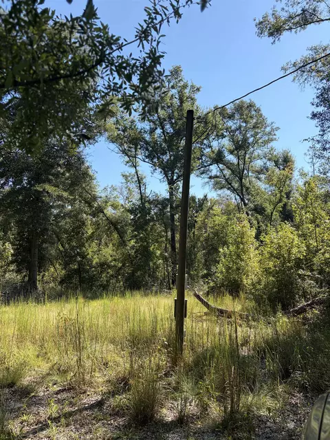 NE Chervil Drive, Lee, FL 32059 photo 11