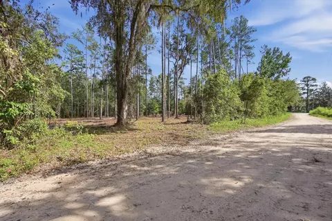 3621 E Capps Hwy, Lamont, FL 32336 photo 12