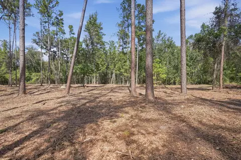 3621 E Capps Hwy, Lamont, FL 32336 photo 10