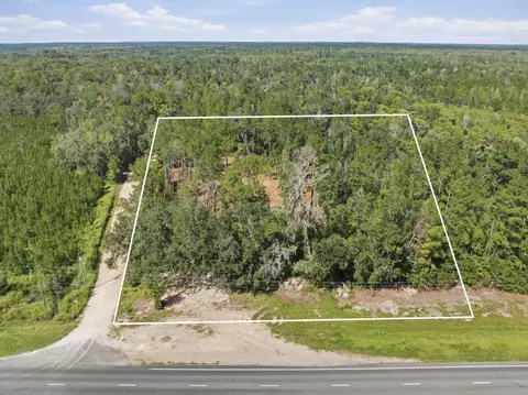 3621 E Capps Hwy, Lamont, FL 32336 photo 2