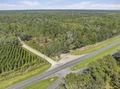 3621 E Capps Hwy, Lamont, FL 32336 photo 3