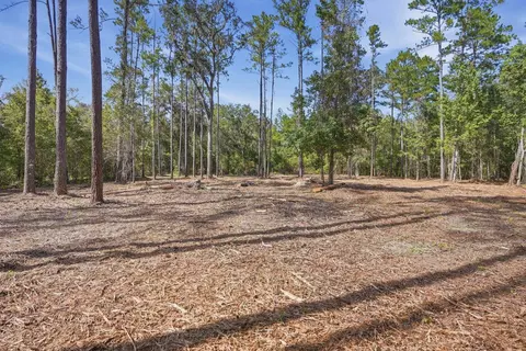 3621 E Capps Hwy, Lamont, FL 32336 photo 9