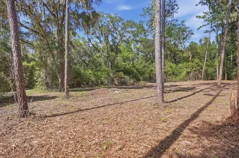 3621 E Capps Hwy, Lamont, FL 32336 photo 11