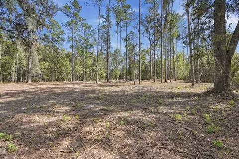 3621 E Capps Hwy, Lamont, FL 32336 photo 7