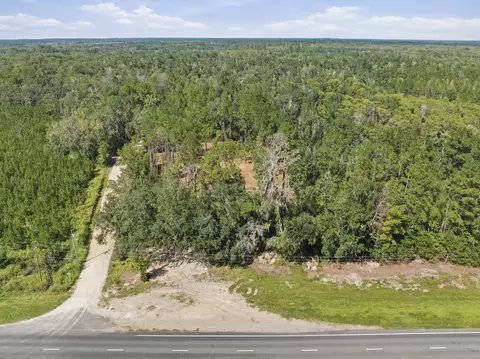 3621 E Capps Hwy, Lamont, FL 32336 photo 15