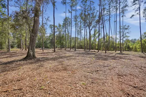 3621 E Capps Hwy, Lamont, FL 32336 photo 8