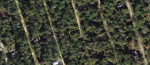 lot59 Rochelsie Rd, Crawfordville, FL 32327