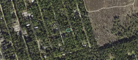 lot60 Chicopee Rd, Crawfordville, FL 32327