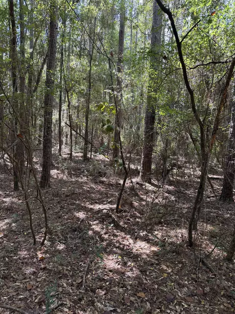 Nnn Sipsey Way, Tallahassee, FL 32305