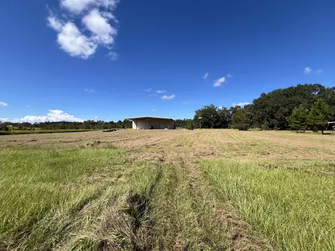 Other - 258 Harbin Rd, Quincy, FL 32351 photo 2 of 26