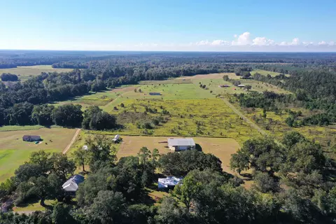 View/Area - 258 Harbin Rd, Quincy, FL 32351 photo 4 of 8