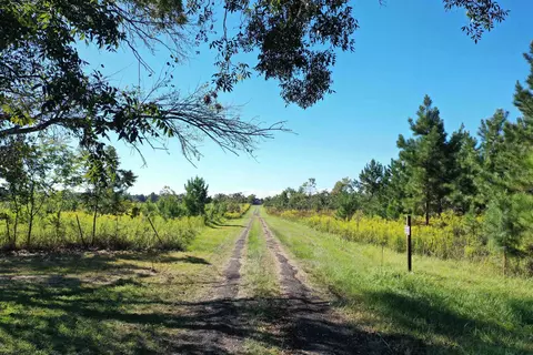 Other - 258 Harbin Rd, Quincy, FL 32351 photo 4 of 26