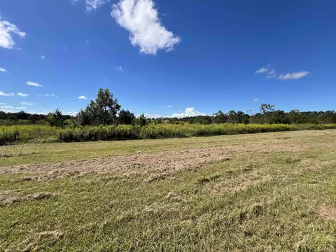 Other - 258 Harbin Rd, Quincy, FL 32351 photo 26 of 26