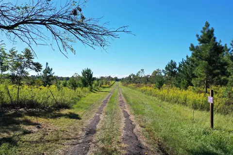 Other - 258 Harbin Rd, Quincy, FL 32351 photo 8 of 26