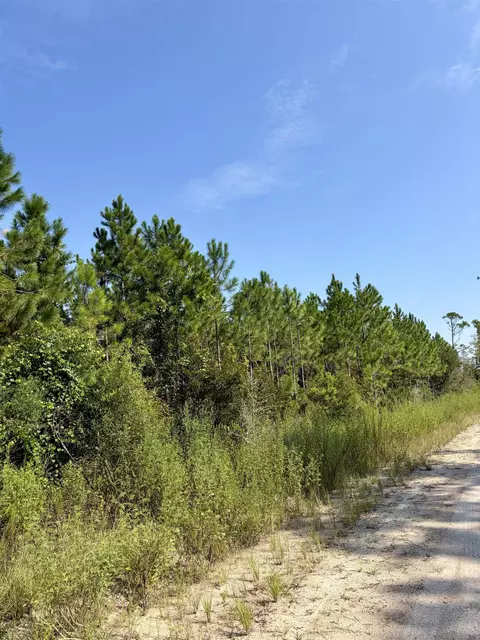 Vacant Circle Block Loop, Greenville, FL 32331