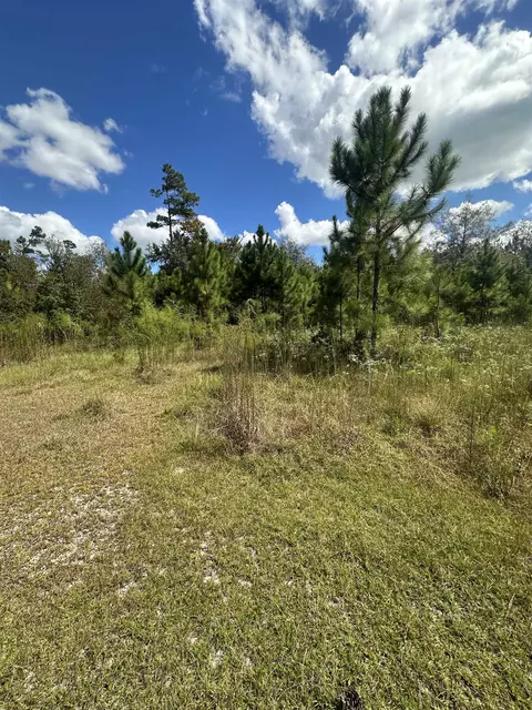 N Sr 71, Altha, FL 32421 photo 3