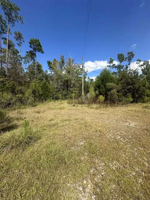 N Sr 71, Altha, FL 32421 photo 2