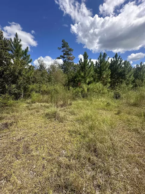 N Sr 71, Altha, FL 32421 photo 4
