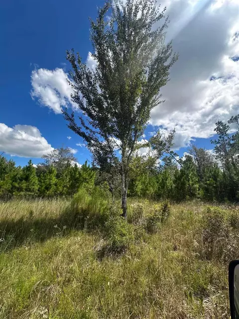 N Sr 71, Altha, FL 32421 photo 5