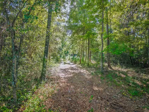 Nn Old Revell Road, Crawfordville, FL 32327