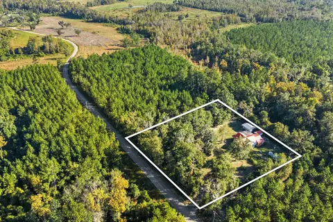 View/Area - 12110 Morris Steen Rd, Greenville, FL 32331 photo 2 of 8