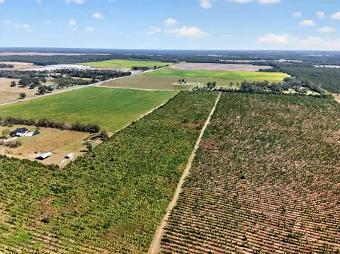 0 NE 14th St, Lee, FL 32059 photo 14