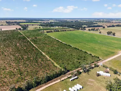 0 NE 14th St, Lee, FL 32059 photo 10