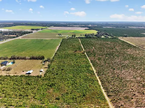 0 NE 14th St, Lee, FL 32059 photo 15