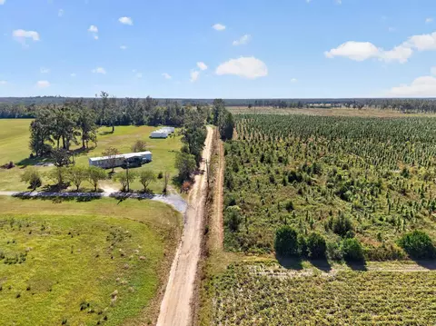 0 NE 14th St, Lee, FL 32059 photo 20