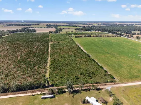 0 NE 14th St, Lee, FL 32059 photo 9