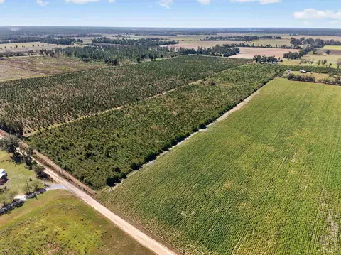 0 NE 14th St, Lee, FL 32059 photo 19