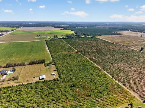 0 NE 14th St, Lee, FL 32059 photo 16