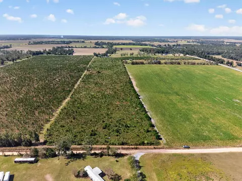 0 NE 14th St, Lee, FL 32059 photo 21