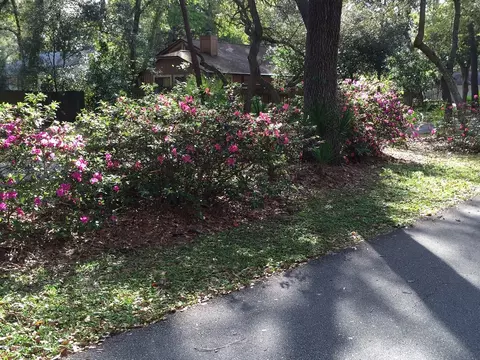 354 Applegate Lndg, Ormond Beach, FL 32174 photo 28