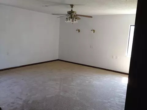 2915 Pine Tree Dr, Edgewater, FL 32141 photo 17