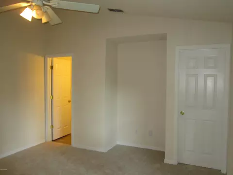 2421 Umbrella Tree Dr, Edgewater, FL 32141 photo 13