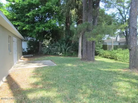 2421 Umbrella Tree Dr, Edgewater, FL 32141 photo 17