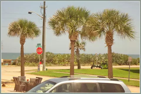 101 Ocean Grove Dr, Ormond Beach, FL 32176 photo 5