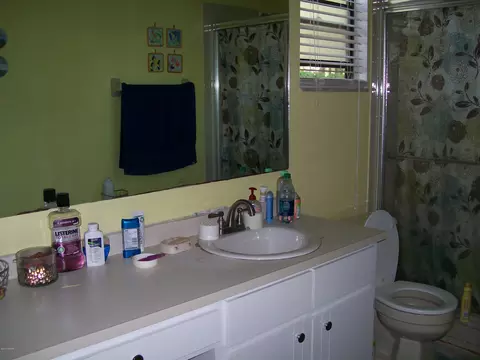 3007 Orange Tree Dr, Edgewater, FL 32141 photo 8